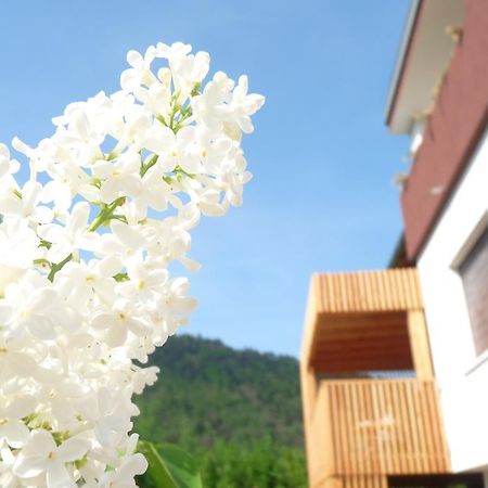 卡萨苏尔拉格公寓 卡塞兰尼卡奥拉格 客房 照片
